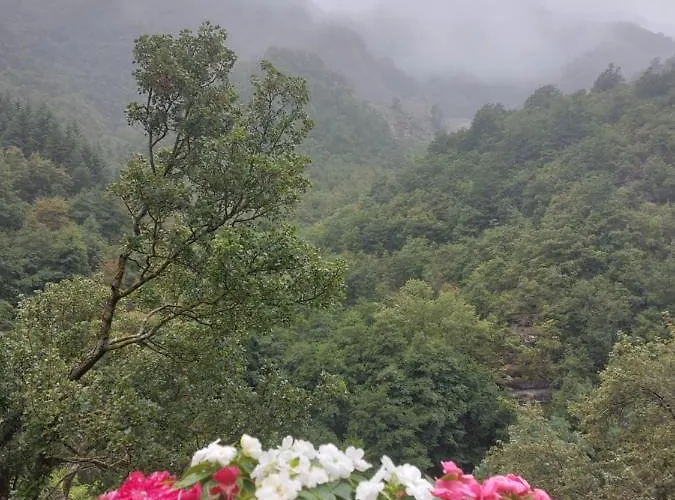 Bed & Breakfast Donnini 4*