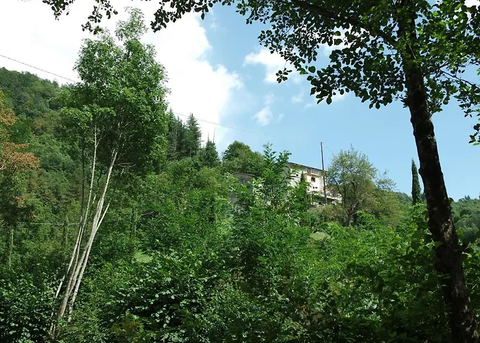 Donnini