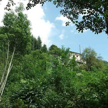 Donnini