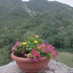 Donnini